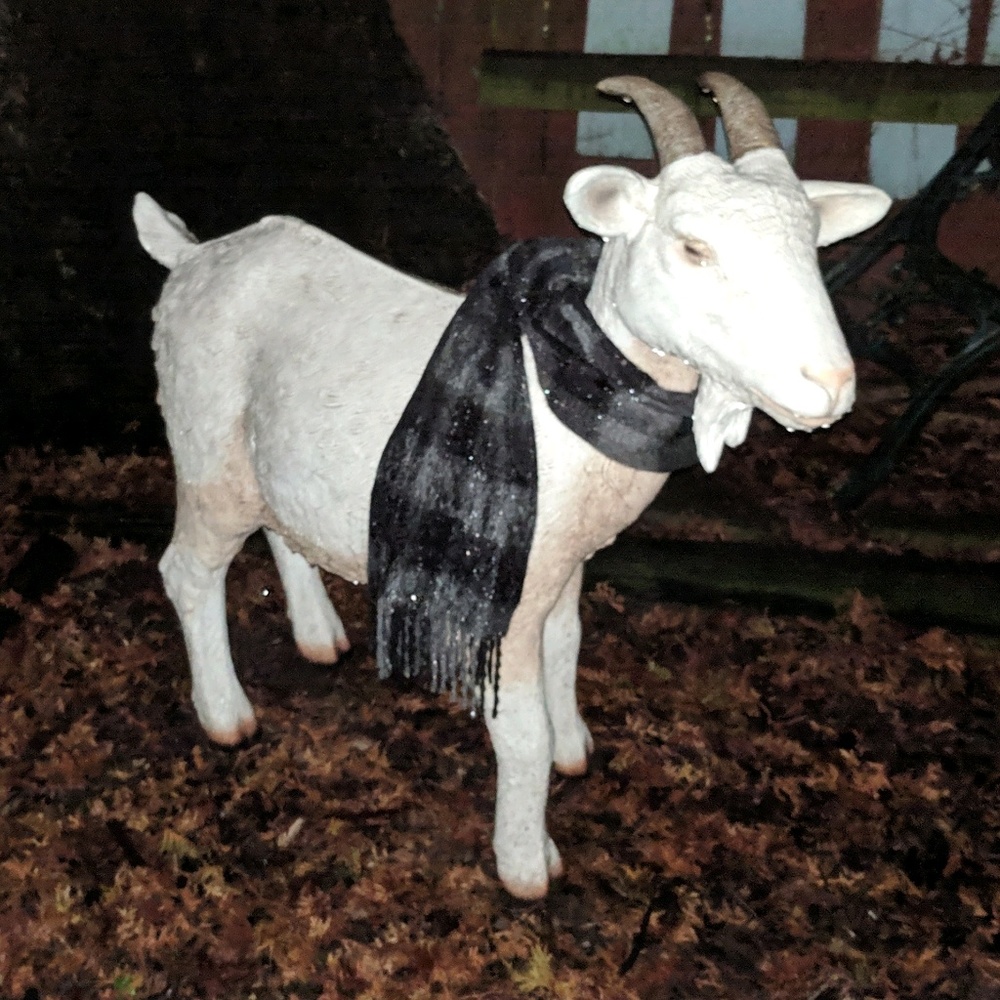 Meet your Posher, Chris